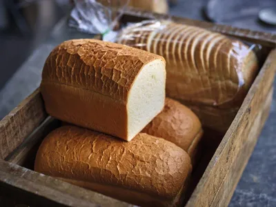 Softr Alpaca Industria