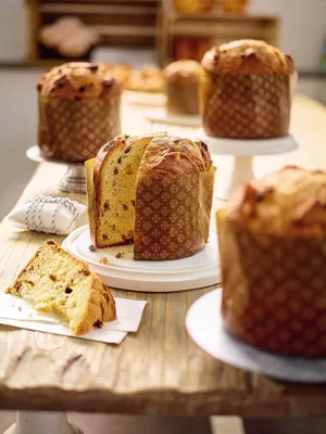 Softr Pan Dulce