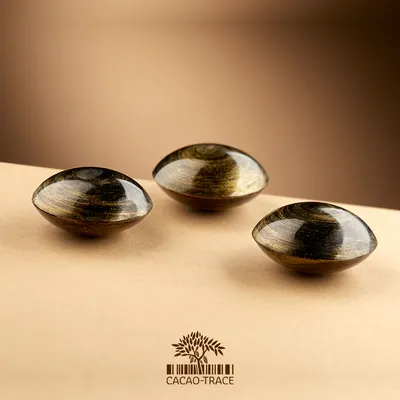 Belcolade Origin Vietnam (73%) CT NCVIET